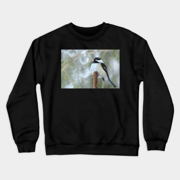 Bird watching... Crewneck Sweatshirt by LaurieMinor